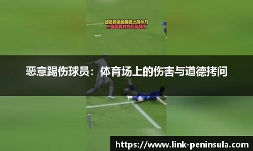 半岛体育