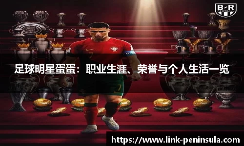 半岛体育全站