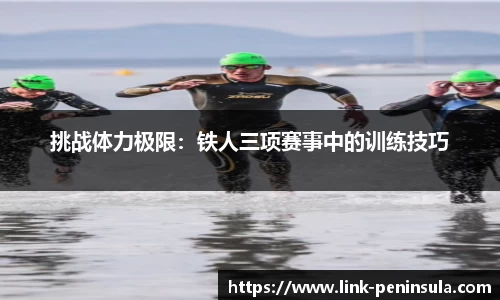 半岛体育全站